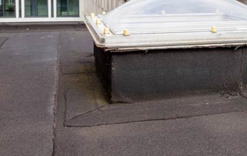 disadvantages of Burthorpe flat roofs