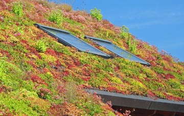 Burthorpe living roof systems