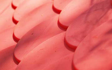 Burthorpe plastic roof costs