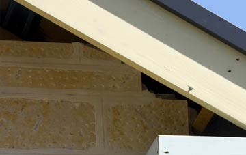 soffit repair Burthorpe