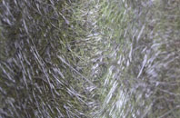 Burthorpe fibreglass roof work